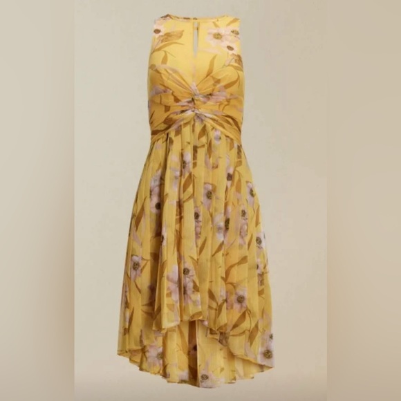 Ted Baker Fabulas Cabana ruched pleated midi dress - Picture 3 of 3